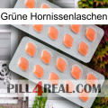 Grüne Hornissenlaschen 27